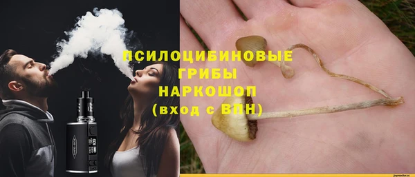 spice Алексин