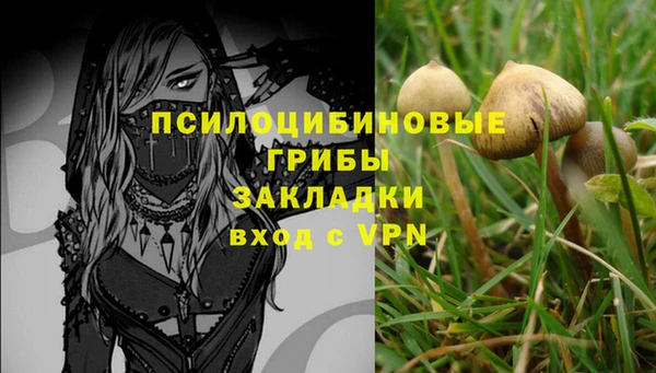 spice Алексин