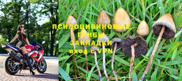 spice Алексин