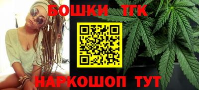 гашик Тулун