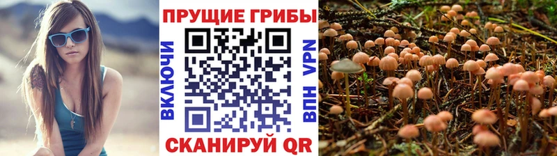 сколько стоит  ОМГ ОМГ онион  Галлюциногенные грибы прущие грибы  Тюмень 