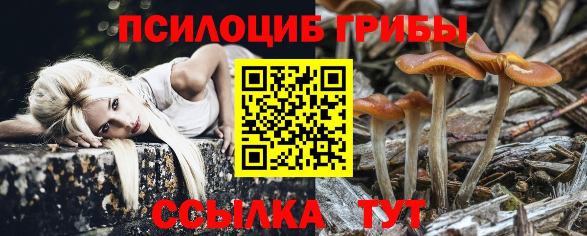 Тюмень  Псилоцибиновые грибы GOLDEN TEACHER  Вход с VPN 